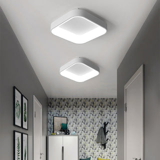 Flush Mount Ceiling Light