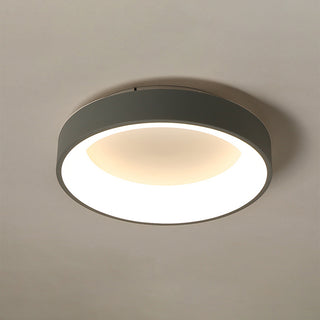 Flush Mount Ceiling Light