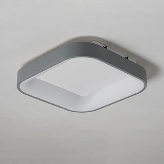 Flush Mount Ceiling Light