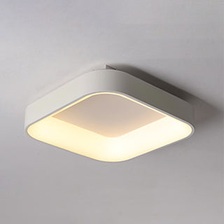 Flush Mount Ceiling Light