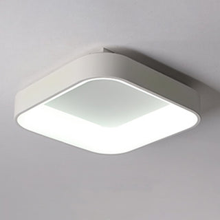 Flush Mount Ceiling Light