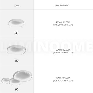 Flush Mount Ceiling Light