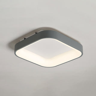 Flush Mount Ceiling Light