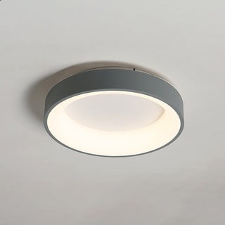 Flush Mount Ceiling Light