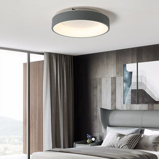 Flush Mount Ceiling Light