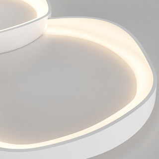 Flush Mount Ceiling Light