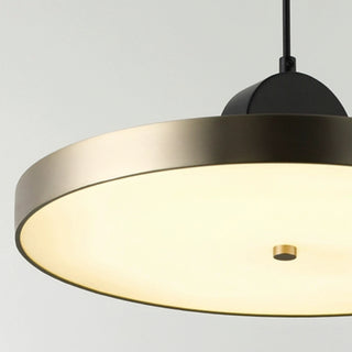 Designer Creative Post-modern Entry Lux Pendant Light,5 Style