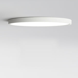 Minimalist Basic Flush Mount Ceiling Light