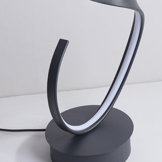 Creative Spiral Line Art Minimalist Black Floor Lamp