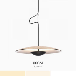 UFO Shape Pendant Light