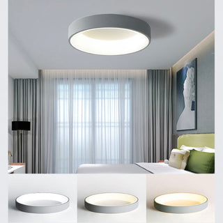 Flush Mount Ceiling Light