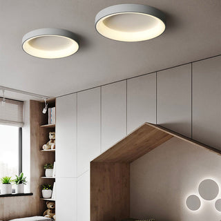 Flush Mount Ceiling Light