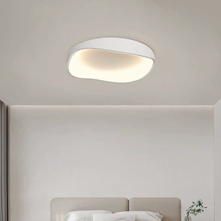 Flush Mount Ceiling Light