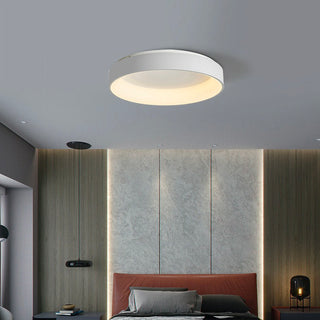 Flush Mount Ceiling Light