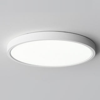 Minimalist Basic Flush Mount Ceiling Light