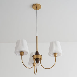 Vintage Mid Century Chandelier