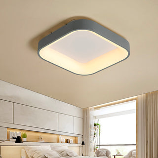 Flush Mount Ceiling Light