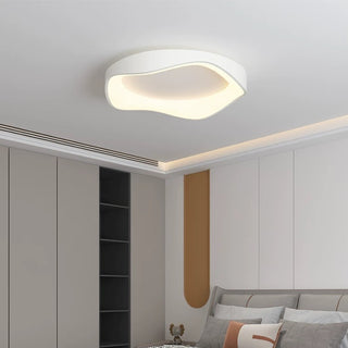 Flush Mount Ceiling Light