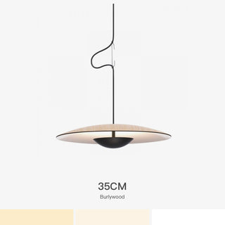 UFO Shape Pendant Light