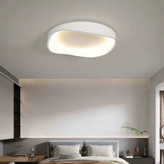 Flush Mount Ceiling Light