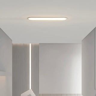 Simple Ultra-thin Seamless Two-color Edge Ceiling Lamp