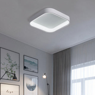 Flush Mount Ceiling Light