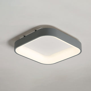 Flush Mount Ceiling Light